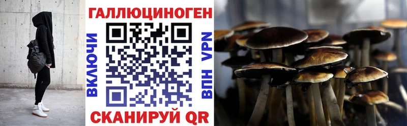 Галлюциногенные грибы Psilocybe KRAKEN ССЫЛКА Липки